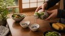 Sake Sets