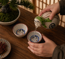 Hyottoko Handcrafted Ceramic Sake Set