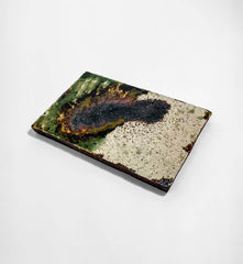 Moss Green Iron Glaze Sushi Plate