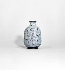 Kairagi Sake Bottle